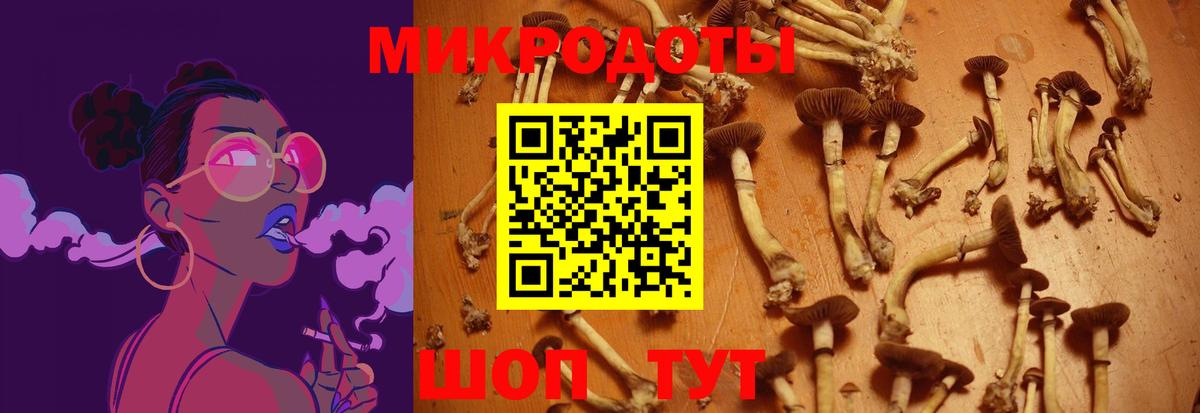 Нижний Новгород  Галлюциногенные грибы Psilocybe  Вход с VPN 